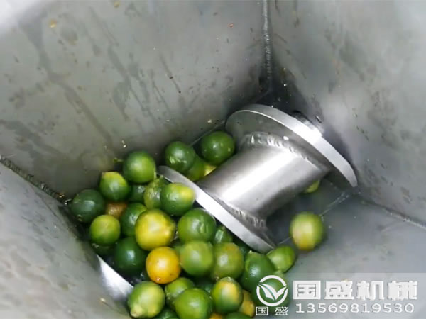 水果壓榨機(jī)廠家 水果壓榨機(jī)廠家